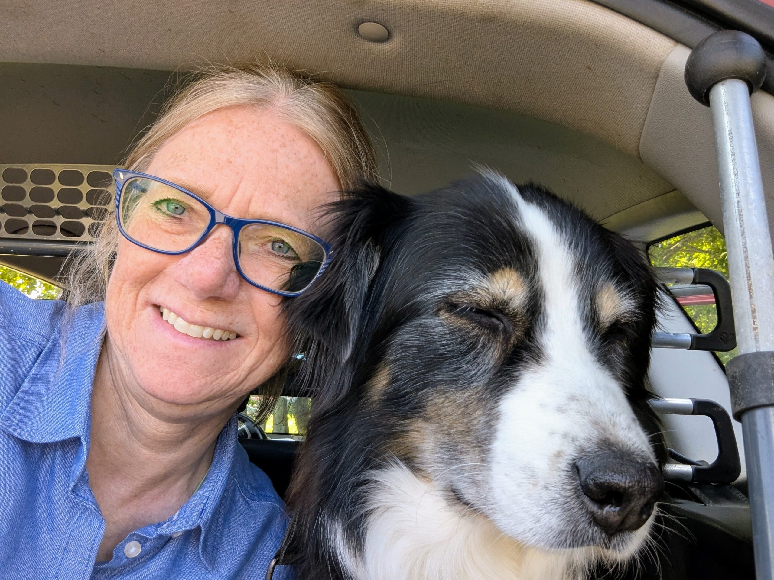 Tour with a dog